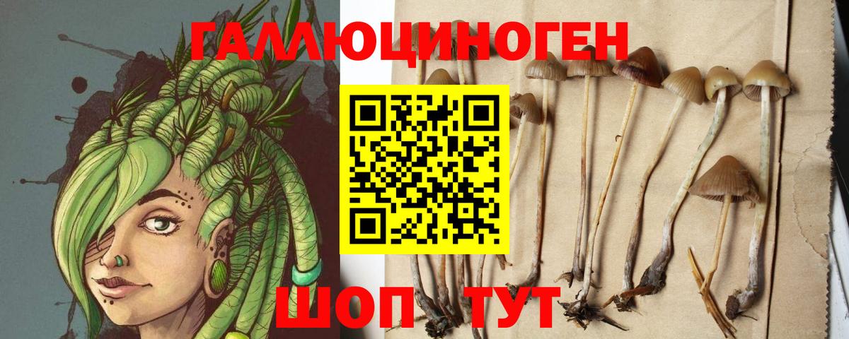 Псилоцибиновые грибы MAGIC MUSHROOMS Унеча